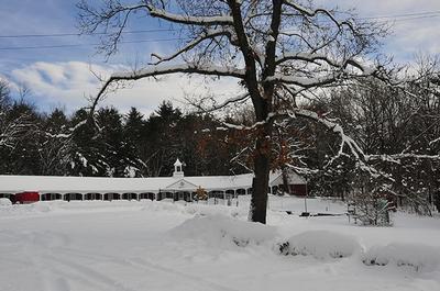 French King in a Winter Wonderland